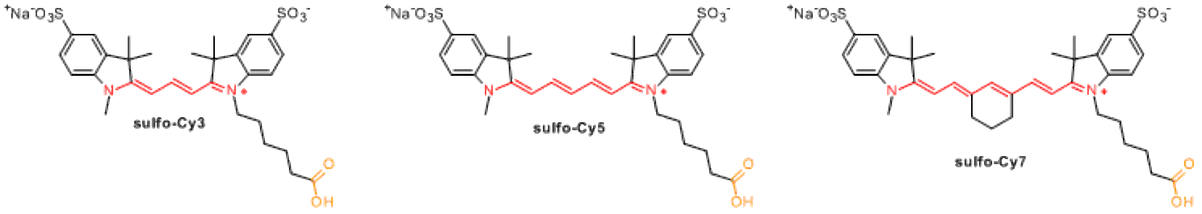Strukturen der sulfonierten Cyanine von Lumiprobe